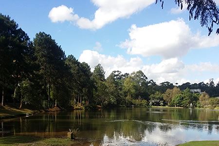 Granja Viana