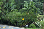 Granja Viana
